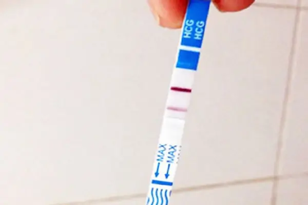 Thử Thai Bằng Que: Cẩm Nang Chi Tiết Từ A Đến Z Cùng Chuyenseg