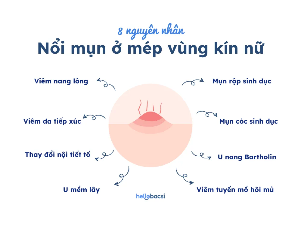 Vùng Kín Bị Nổi Mụn Hay Vùng Kín Có Mụn: Điều Bình Thường Hơn Bạn Nghĩ!