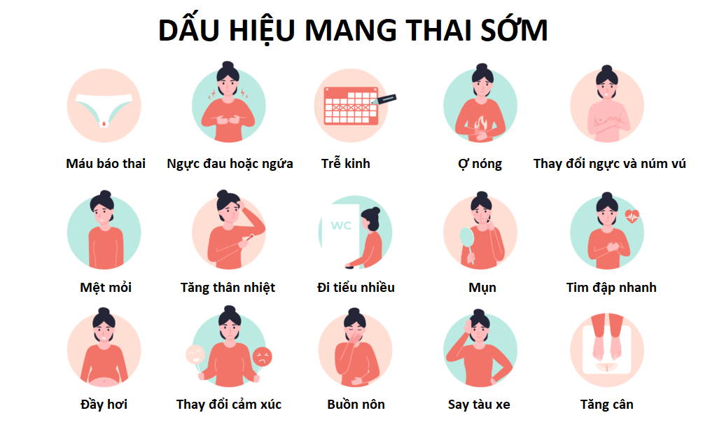 Trễ Kinh Mấy Ngày Thì Có Thai? Giải Mã Dấu Hiệu Mang Bầu Sớm