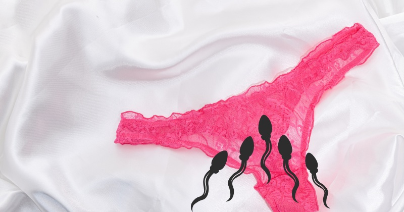 Tinh trùng dính vào quần áo bao lâu thì chết? Sự thật bạn cần biết