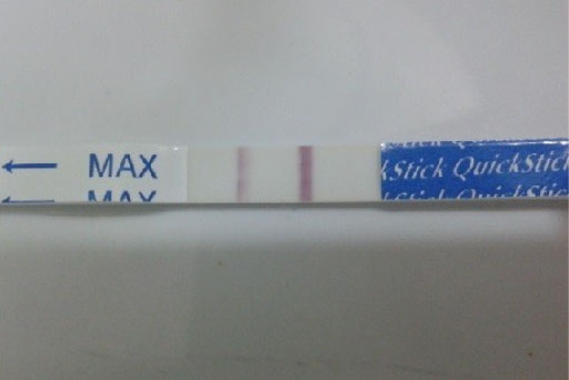 Thử Thai Bằng Que: Cẩm Nang Chi Tiết Từ A Đến Z Cùng Chuyenseg