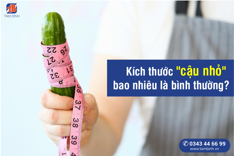 Kích Thước "Cậu Nhỏ" Trung Bình Dương Vật Việt Nam: Điều Bạn Cần Biết