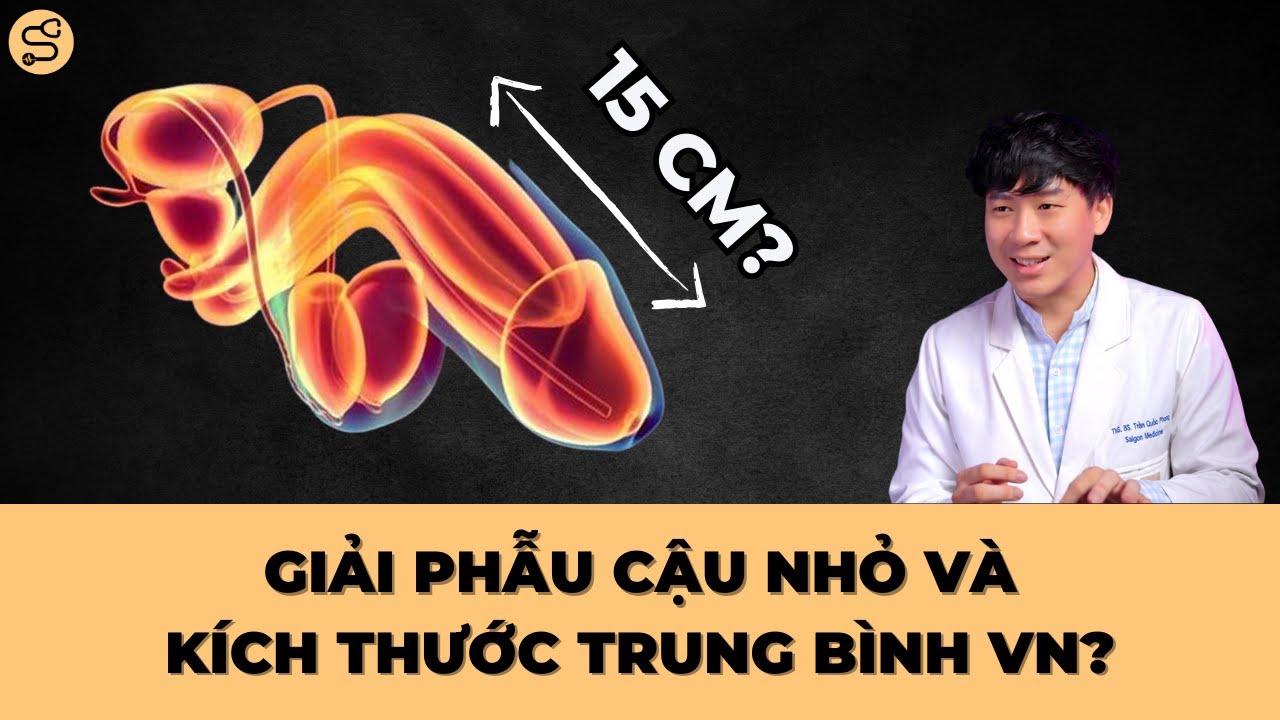 Kích Thước "Cậu Nhỏ" Trung Bình Dương Vật Việt Nam: Điều Bạn Cần Biết