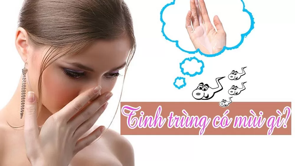 Vị Của Tinh Trùng: Những Điều Bạn Nên Biết Để Tự Tin Và Lành Mạnh Hơn
