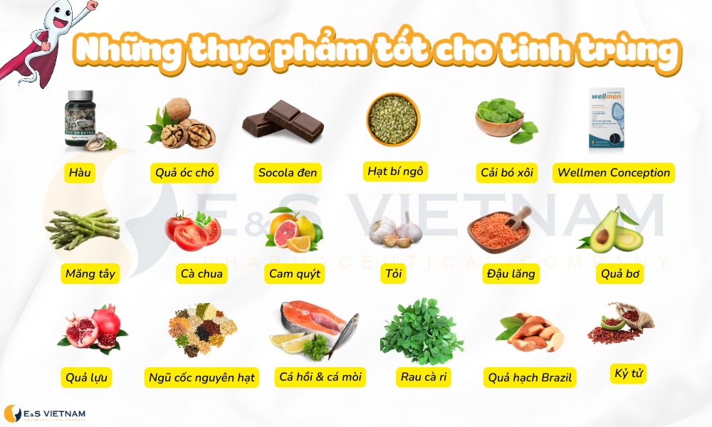Thực phẩm bổ tinh trùng: Chìa khóa vàng cho sức khỏe sinh sản phái mạnh