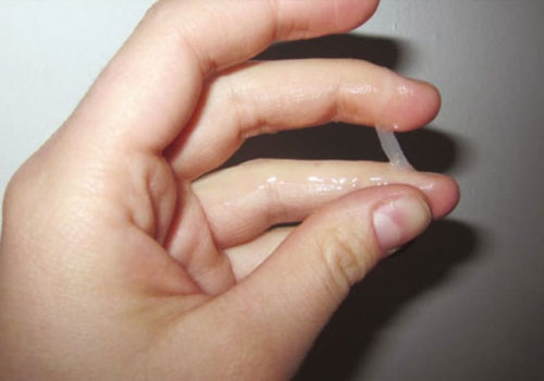 Tinh Dịch Của Phụ Nữ: Giải Mã Sự Thật Và Những Tác Dụng Ít Ai Ngờ