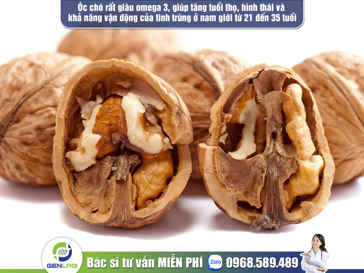 Thực phẩm bổ tinh trùng: Chìa khóa vàng cho sức khỏe sinh sản phái mạnh