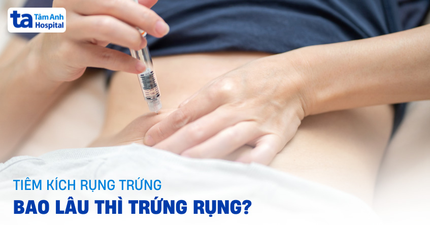 Tiêm Rụng Trứng Bao Lâu Thì Trứng Rụng? Chuẩn Bị Mang Thai Đừng Bỏ Lỡ!