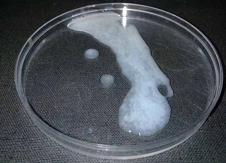 Tinh Trùng Khỏe Mạnh Có Mùi Gì? Cùng Chuyenseg Giải Mã Bí Ẩn Này Nhé!