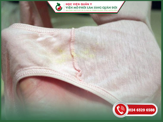 Tinh Trùng Dính Vào Quần Lót Có Thai Không? Giải Đáp Từ Chuyên Gia