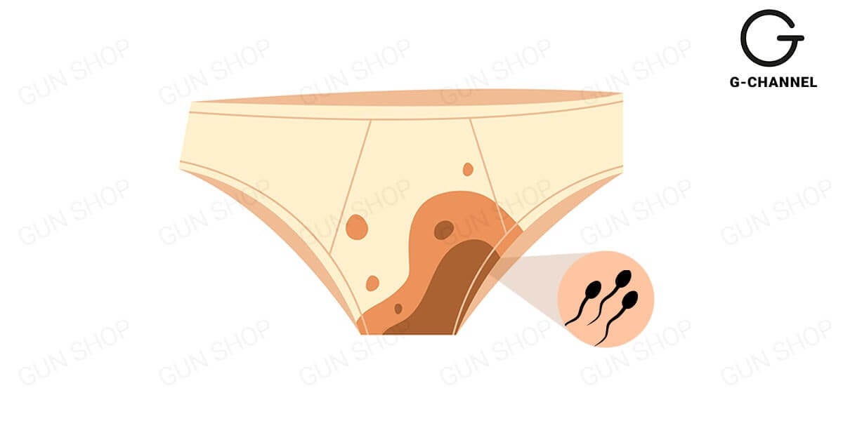 Tinh Trùng Dính Vào Quần Lót Có Thai Không? Giải Đáp Từ Chuyên Gia