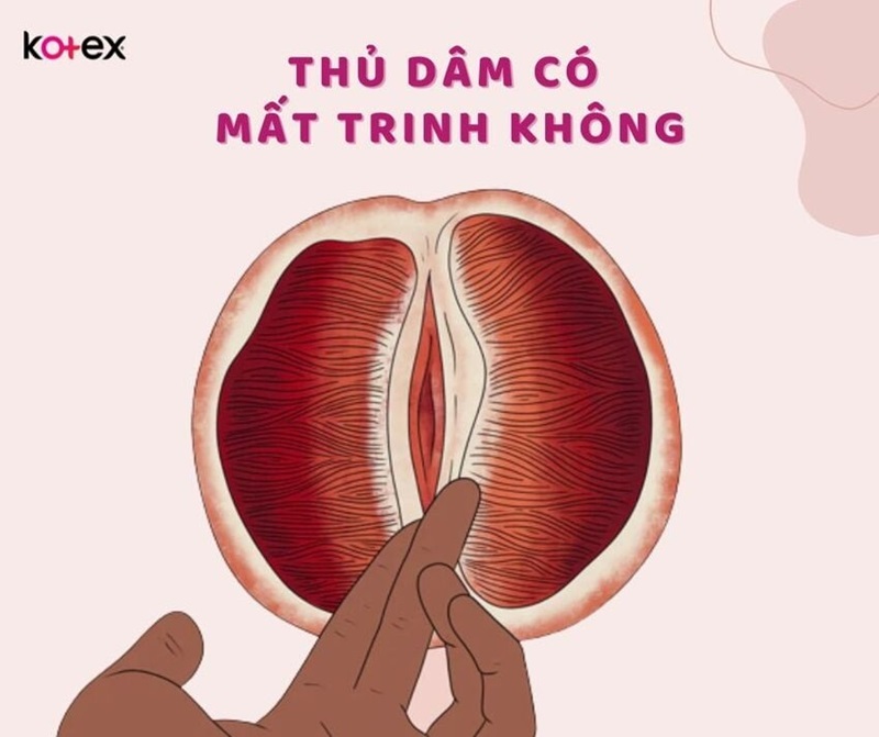 Trước Và Sau Khi Mất Trinh: Cùng Chuyện S.E.G. Gỡ Bỏ Những Băn Khoăn